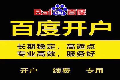 百度竞价排名案例解析：如何快速提升网站流量